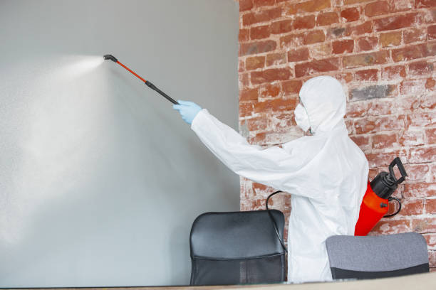 Best Comprehensive Air Testing for Mold Contaminants  in Chelsea, AL