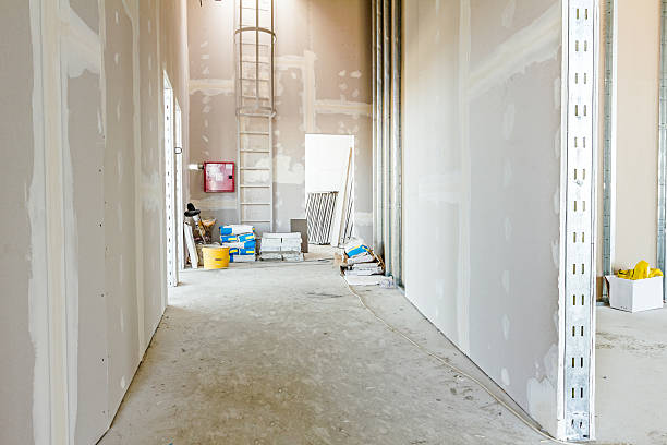 Best Mold Removal for HVAC Installations  in Chelsea, AL